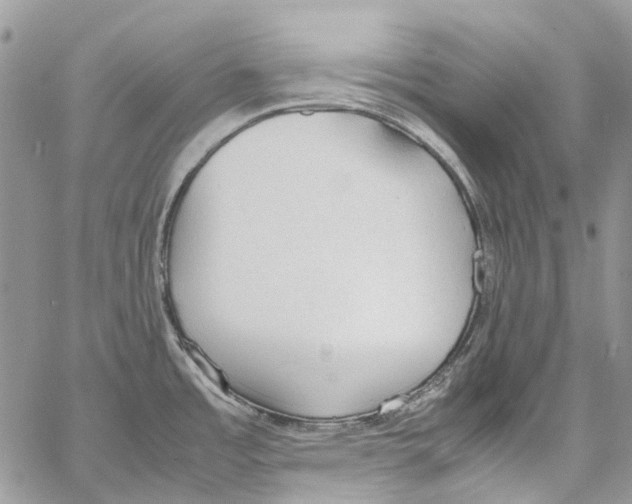 X0000061721485200512302107