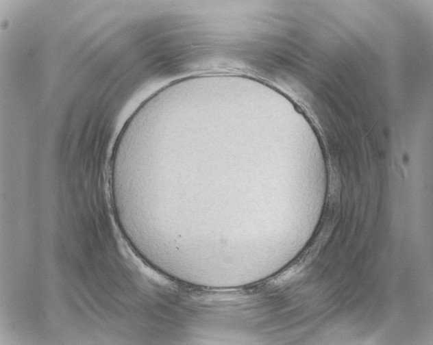 X0000061721486200512302107