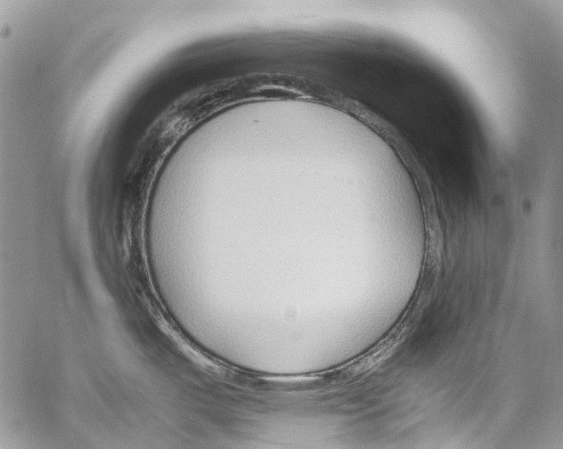 X0000061721487200512302107