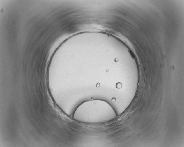 X0000061721488200512302107