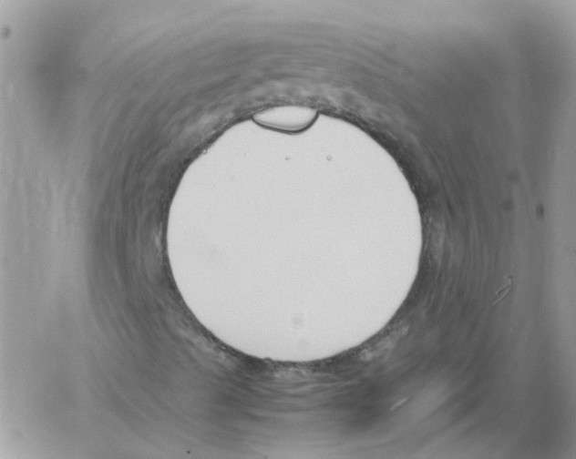 X0000061721489200512302106