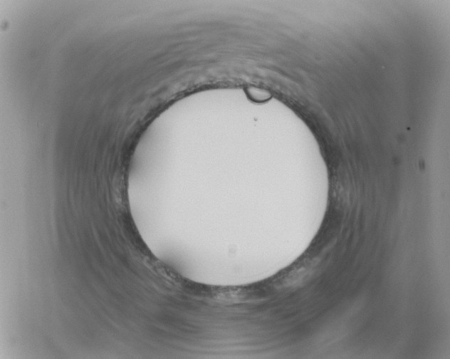 X0000061721490200512302106