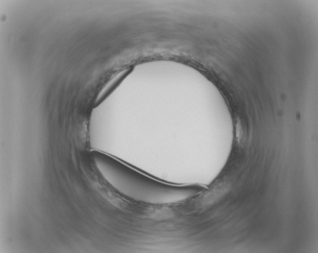 X0000061721492200512302106