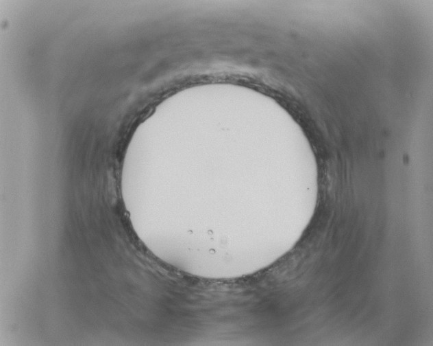 X0000061721493200512302106