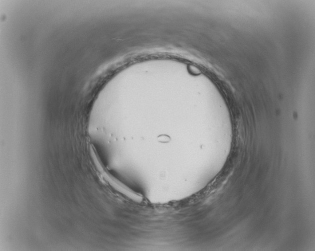 X0000061721494200512302106