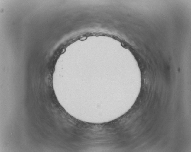 X0000061721495200512302106