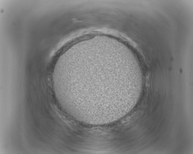 X0000061721496200512302106