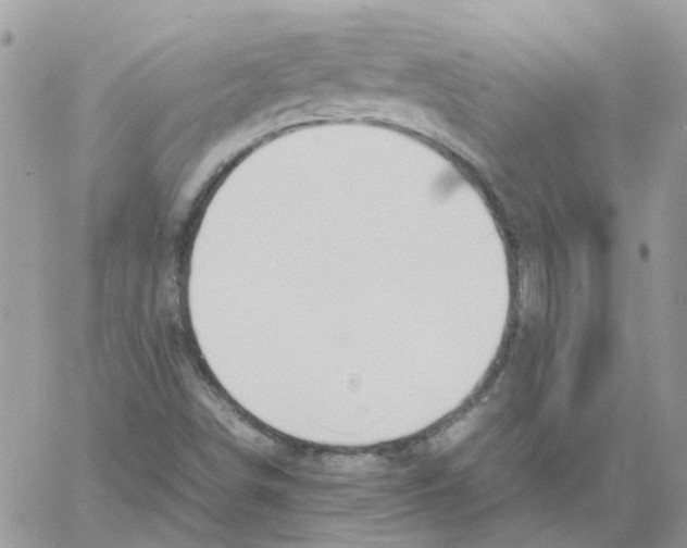 X0000061721498200512302106