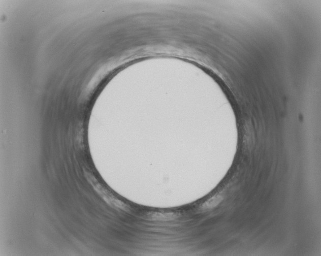 X0000061721499200512302106