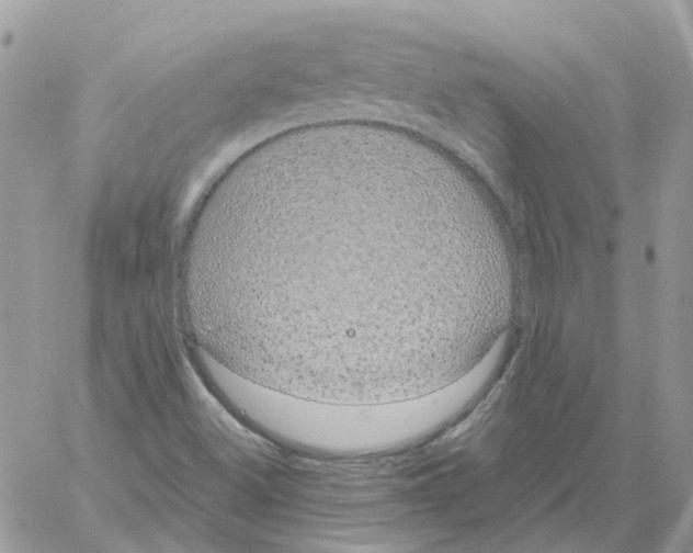 X0000061721500200512302106