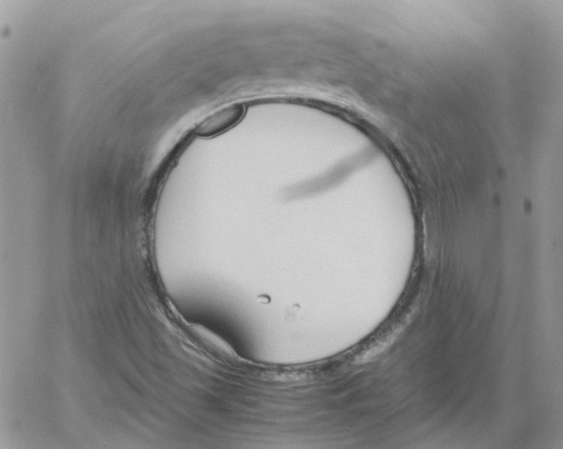 X0000061721501200512302106