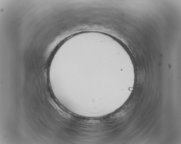 X0000061721503200512302106