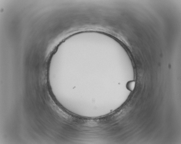 X0000061721504200512302106