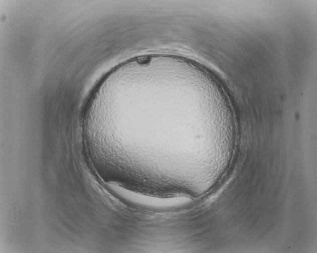 X0000061721506200512302106