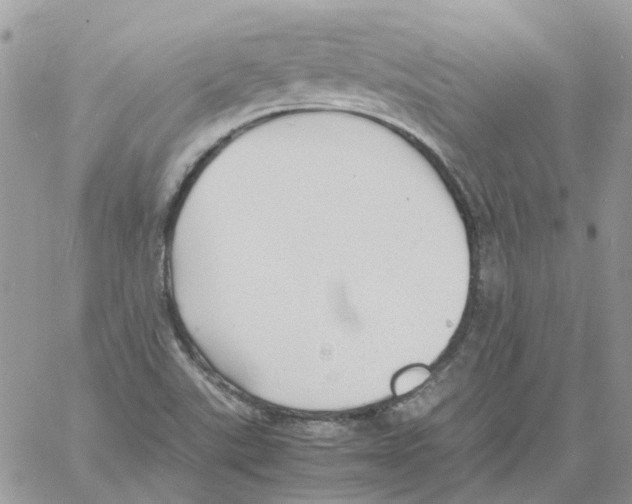 X0000061721507200512302106