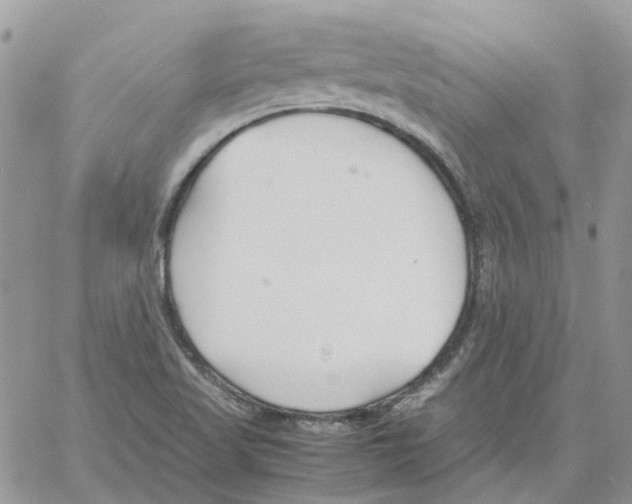 X0000061721509200512302106