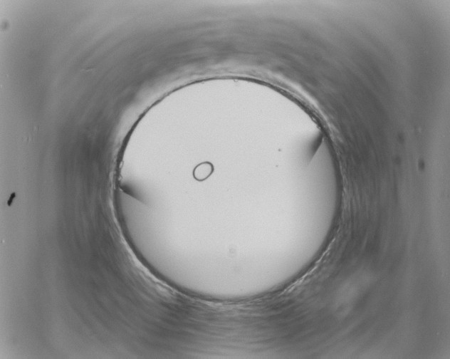 X0000061721512200512302106