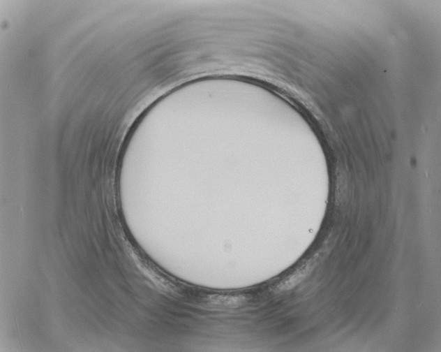 X0000061721513200512302106