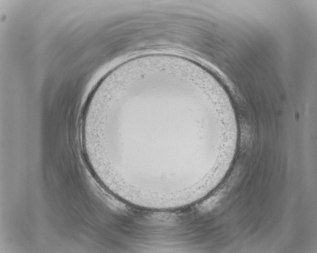 X0000061721514200512302106