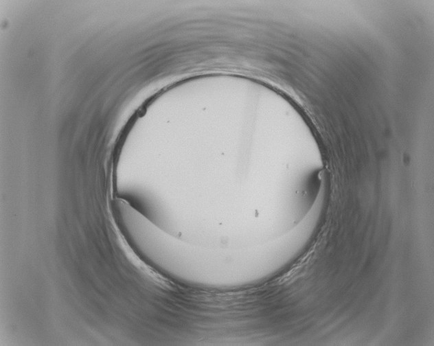 X0000061721515200512302106