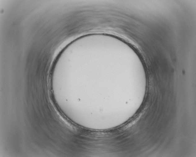 X0000061721517200512302106