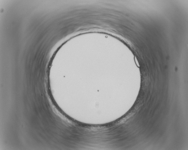 X0000061721518200512302106