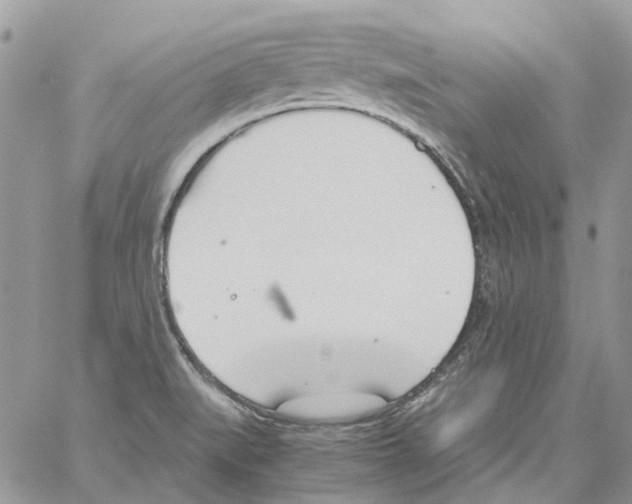 X0000061721519200512302106