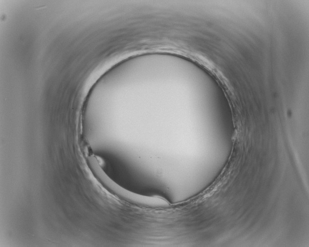 X0000061721520200512302106