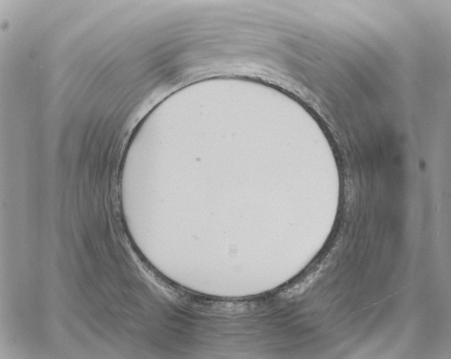 X0000061721521200512302106