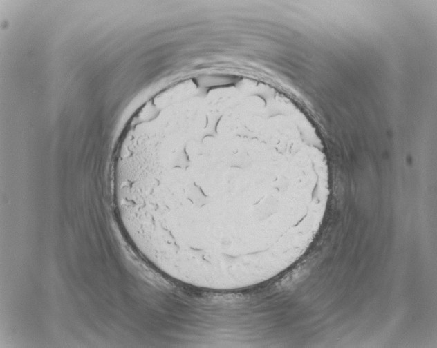 X0000061721522200512302106