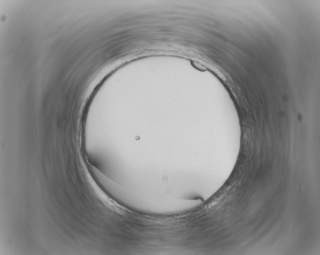 X0000061721523200512302106