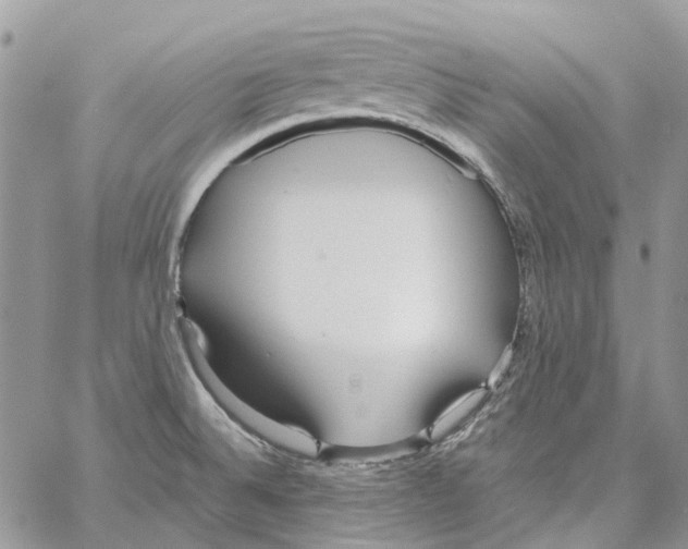 X0000061721524200512302106