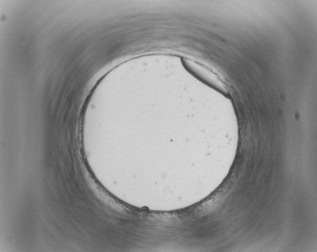 X0000061721526200512302106