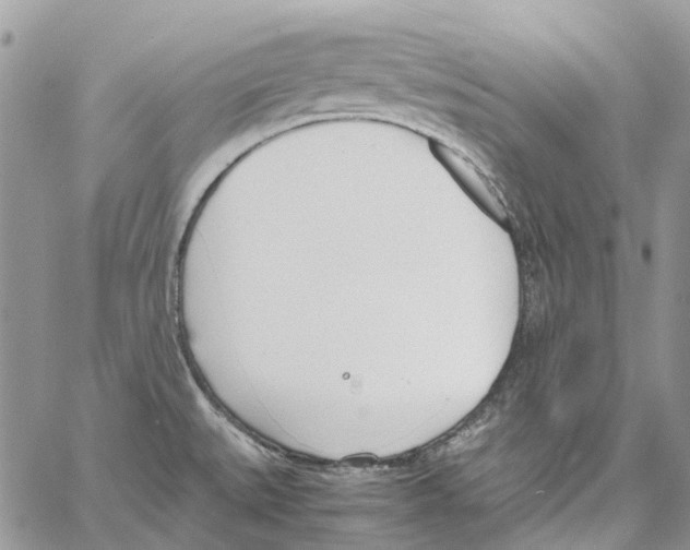 X0000061721527200512302106