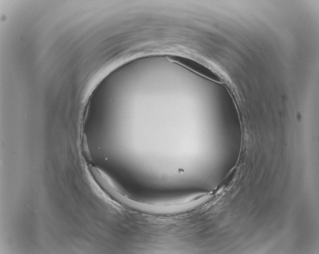 X0000061721528200512302106