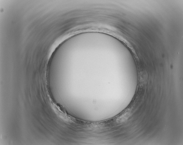 X0000061721530200512302107