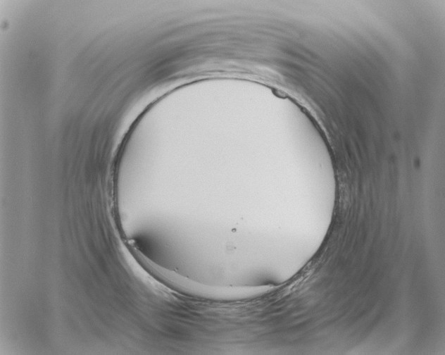 X0000061721531200512302107