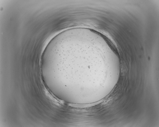 X0000061721532200512302107