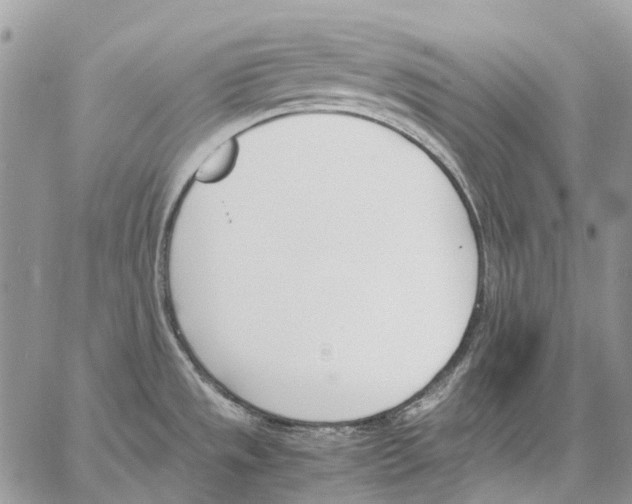 X0000061721533200512302107