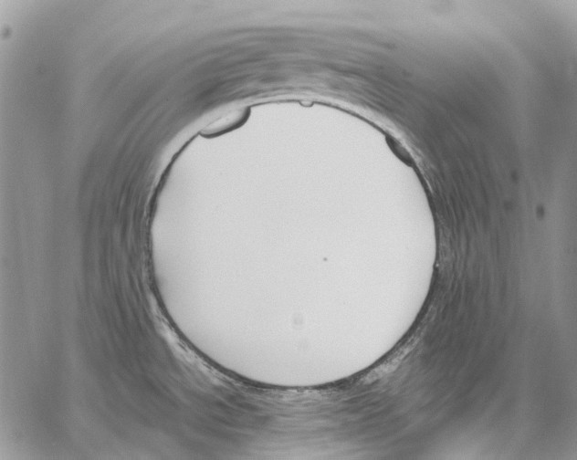 X0000061721534200512302107