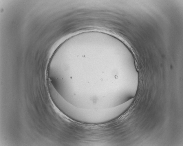 X0000061721535200512302107