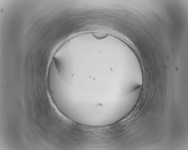 X0000061721536200512302107