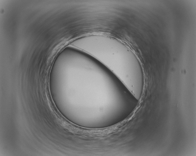 X0000061730001200512021027