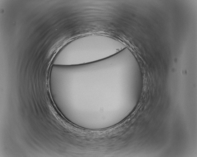 X0000061730002200512021027