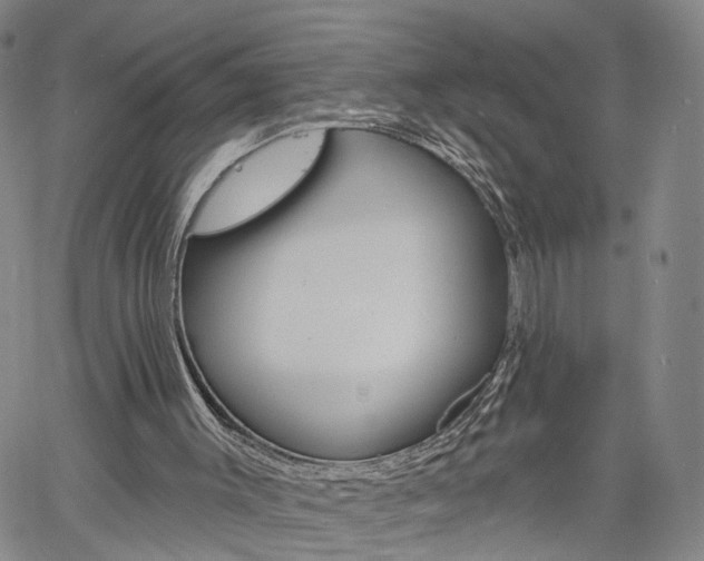 X0000061730003200512021027