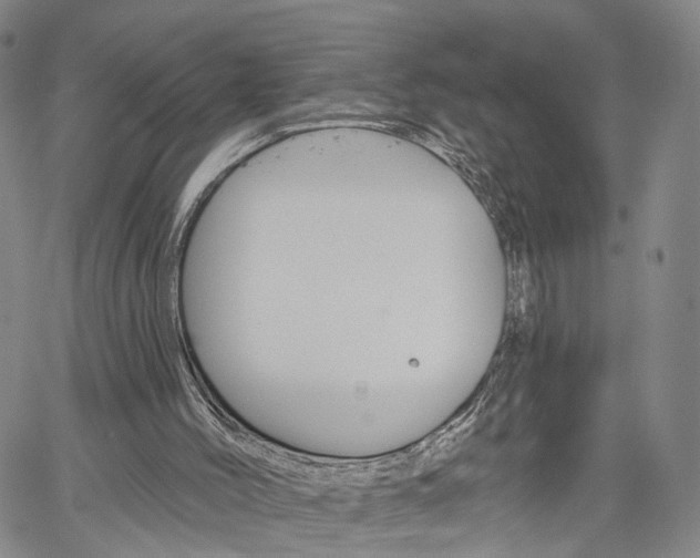 X0000061730004200512021027