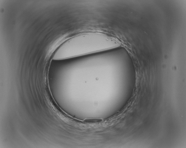 X0000061730005200512021027