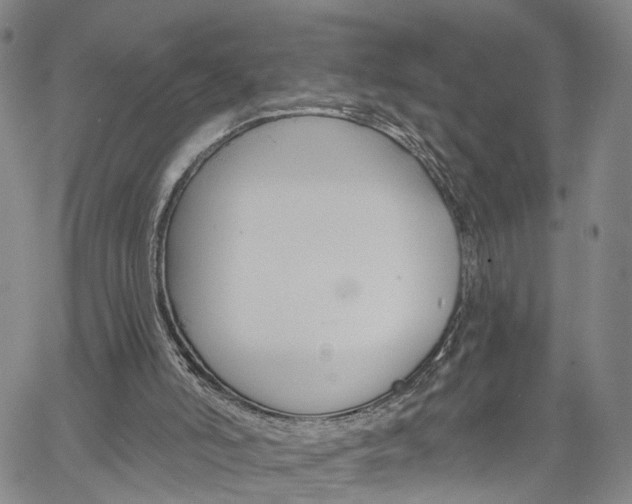 X0000061730006200512021027