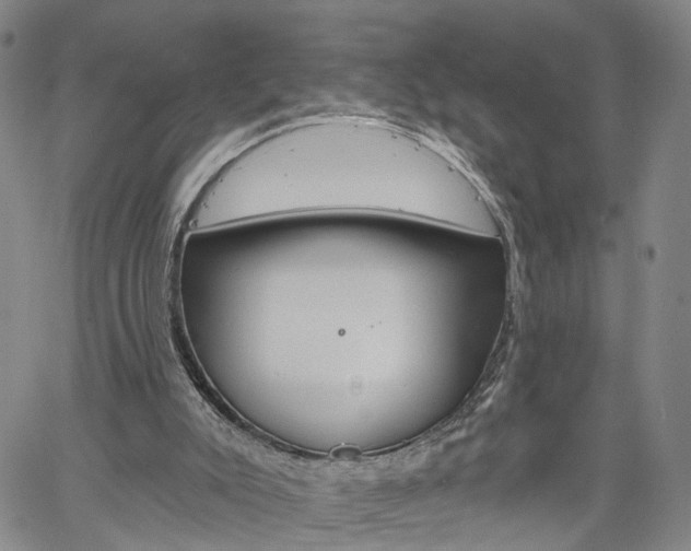 X0000061730007200512021027