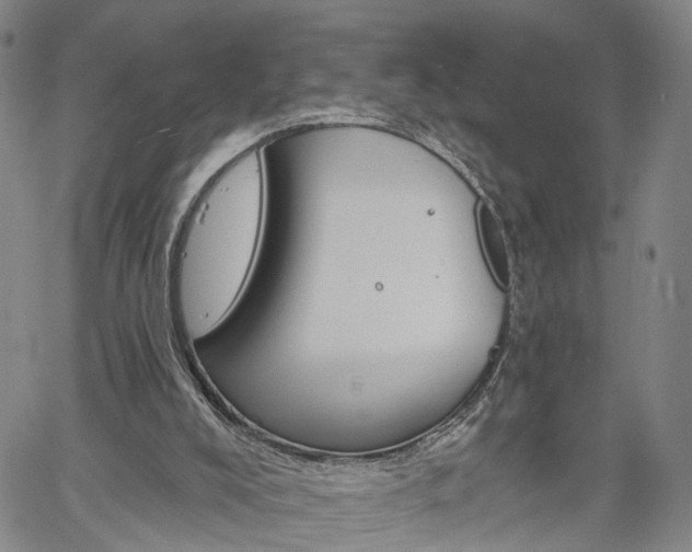 X0000061730008200512021027